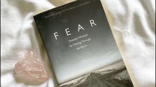 Fear by Thich Nhat Hanh third mantra [upl. by Aillicsirp655]