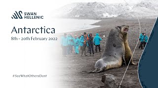 Antarctica  Swan Hellenic  8th  20th February 2022 [upl. by Eugen]