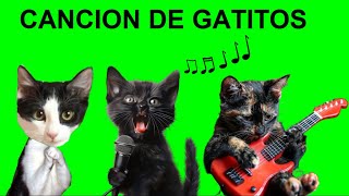 La canción de los 4 gatitos Luna y Estrella Nata y Chocolate 2  Canciones divertidas en español [upl. by Kado]