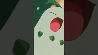 Ashs Chikorita Evolves into Bayleef [upl. by Beeck366]