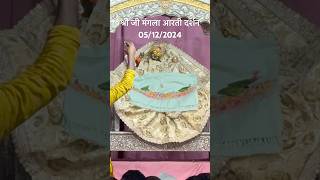 05122024 Shree ji mangla aarti darshan youtubeshorts youtube youtubevideo youtubeshort radha [upl. by Iramat]