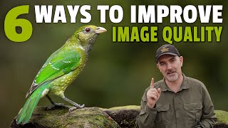 6 Ways to GET the BEST Image QUALITY Possible Including Tips with the Gear You Have [upl. by Imeka944]