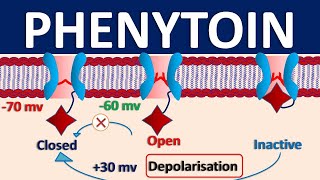 Phenytoin  Mechanism side effects precautions amp uses [upl. by Salena445]