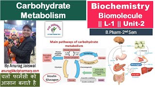 Introduction of Carbohydrate Metabolism  L1 Unit2 Biochemistry [upl. by Annaujat131]