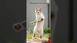 katon bangla new 2025bangla cat cartooncartoon banglakatonshortsbangla jadur cartoonbangla [upl. by Alderman]