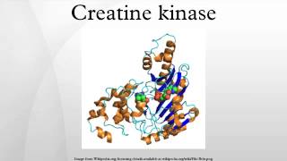 Creatine kinase [upl. by Trbor]