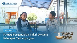 Papeda Ep1 Strategi Pengendalian Inflasi bersama Kelompok Tani Arpat Jaya [upl. by Nievelt]