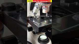 आईलैंड्स under the microscope 😶 shorts youtubeshorts shortvideo [upl. by Ann-Marie150]