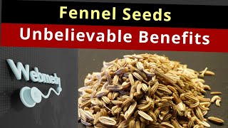 Health Benefits of Fennel Seeds  Top 10 Fennel Seeds Benefits [upl. by Dilaw325]