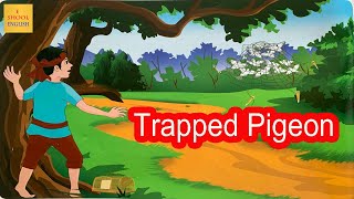 Trapped Pigeon  Short Fairy Tale  eschoolenglish1 [upl. by Tita]