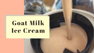 Making Chocolate Goats Milk Ice Cream [upl. by Horvitz]