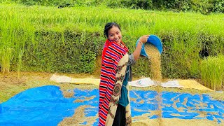 Chaite dhan🌾 katni siyarni suru vaeyo abo ta😍mamatathapa villagevlog subscribe 🙏😎 [upl. by Alfeus]