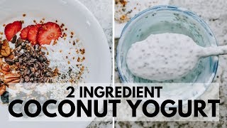 How To Make Coconut Yogurt  NO Probiotics Needed  NO Cook  Keto amp Vegan [upl. by Steinke]