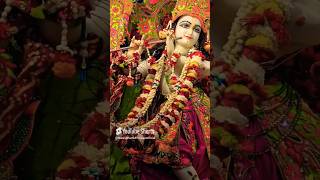 Bansi wale yah kya ho raha haibhaktisong youtubeshorts radheshayam radhekrishna trendingshorts [upl. by Ashlan24]