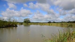 FURZEBRAY LAKES SOUTH MOLTON DEVON [upl. by Esinek]