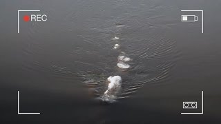 American Loch Ness Monster Video Going Viral [upl. by Beard]