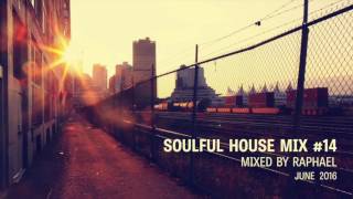 SOULFUL HOUSE MIX 14 [upl. by Camden223]