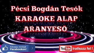 Pécsi Bogdán Tesók KARAOKE SHOW ZENEI ALAP  ARANYESŐ [upl. by Yrtnahc]