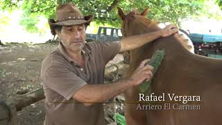 ARRIEROS DOCUMENTAL COMUNA DE EL CARMEN 2016 [upl. by Medina]