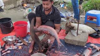 Giant Blood Carp Fish Cutting By Expert Fish Cutter  Fish Cutting Skills [upl. by Grimes544]