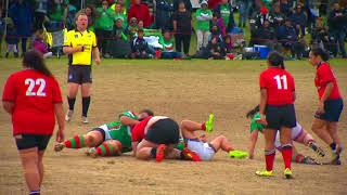 2017 NRL Victoria Womens First Grade  Grand Final Highlights [upl. by Jadda]