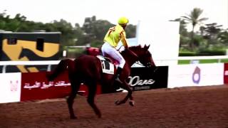 Best of des Courses Hippiques Marocaines 2015 [upl. by Einre]