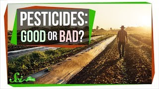 How Safe Are Pesticides Really [upl. by Shaun881]