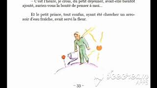 Le Petit Prince  Livre Audio avec texte  Chapitre 8  FR [upl. by Eelrac274]