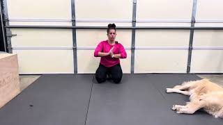 Wrist Extension Stretch with PAILsRAILs [upl. by Lissak]