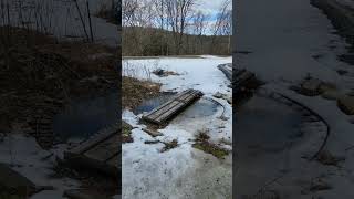 Mill Brook Railroad swimming pool is open LOL railroadlife snow [upl. by Lucky950]