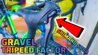 TRIPEED FACTOR 2023  GRAVEL BIKE NA SHIMANO SORA NA [upl. by Gomer]