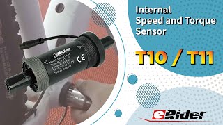 eRider Internal Speed and Torque Sensor  T10T11 [upl. by Bolanger73]