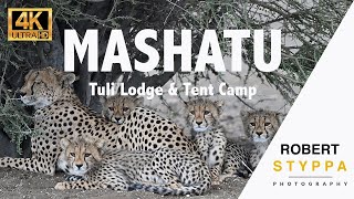 Discover Mashatu Game Reserve Tuli Lodge Tented Camp amp Lala Limpopo Hide in Botswana [upl. by Somar832]