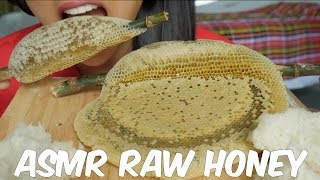 ASMR RAW Whole Honey Comb SOFT STICKY EATING SOUNDS No Talking 6  SASASMR [upl. by Langdon]