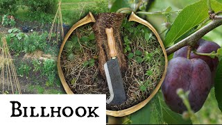 How to Use the Billhook on the Allotment [upl. by Icart]