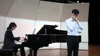 Carmen Fantasy by Sarasate Chromatic Harmonica version played by LEE Chun Lok [upl. by Eesyak569]