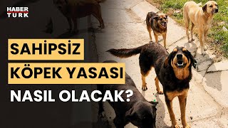 Sokak köpekleri uyutulacak mı Aykut Türel aktardı [upl. by Nelra]