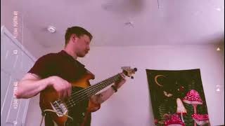 Fleet Foxes  Ragged Wood bass cover [upl. by Ertnod]