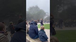 Une journée avec la volerie des aigles L’Equipe WalthFilm alsace nature rapaces aigle [upl. by Nesilla]