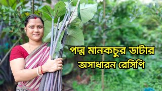 এমন স্বাদের মানকচুর রেসিপি থাকলে সবাই একটু ভাত বেশিই খাবেMaan Kochu Recipe [upl. by Sheeree]