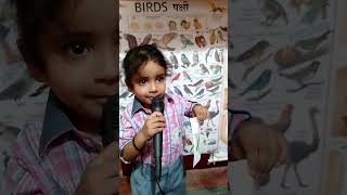 m tota m tota Hindi poem  Dreams Academy learning fun [upl. by Kcirddahc]