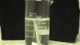 Magneisum and 35 Acetic Acid Vinegar [upl. by Demetre653]