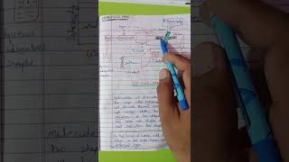 Inductively Coupled Plasma  Optical Emission Spectroscopy  ICPOES   ICPOES  spectroscopy [upl. by Barrus670]