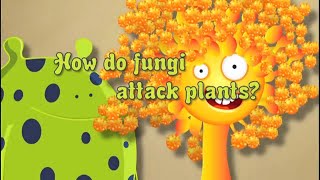 Fungicide No 2 How Do Fungi Attack Plants [upl. by Wootan]