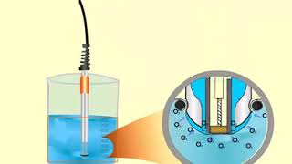 Dissolved Oxygen Sensor [upl. by Ahsiruam]