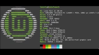 Linux Mint 22 Xfce Wilma [upl. by Branham]