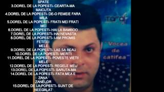 Dorel de la Popesti  Povestea vietii mele  Official Audio [upl. by Yhtac224]