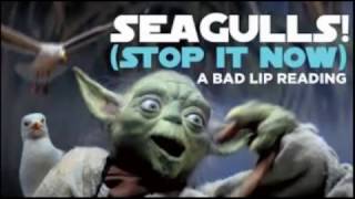 Seagulls Stop it Now by Bad Lip Reading [upl. by Schargel]