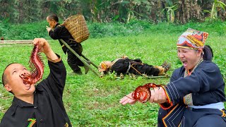 Dwarf Family Harvesting Wild Bananas During Attack Of Venomous Centipedes  Survival in the wild [upl. by Kessiah500]