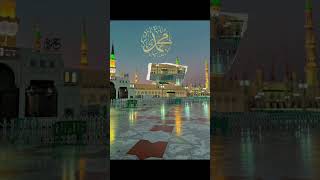 SUBSCRIBE PLZ Noor Wala Aya Ha  Farhan Ali Qadri islam freepalestine shorts shortvideo viral [upl. by Lig]